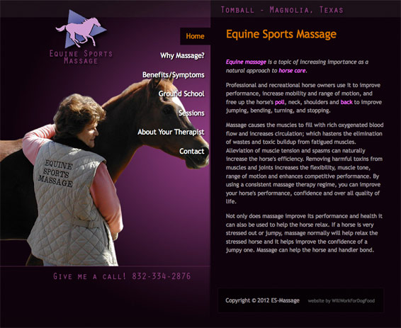 Equine Sports Massage