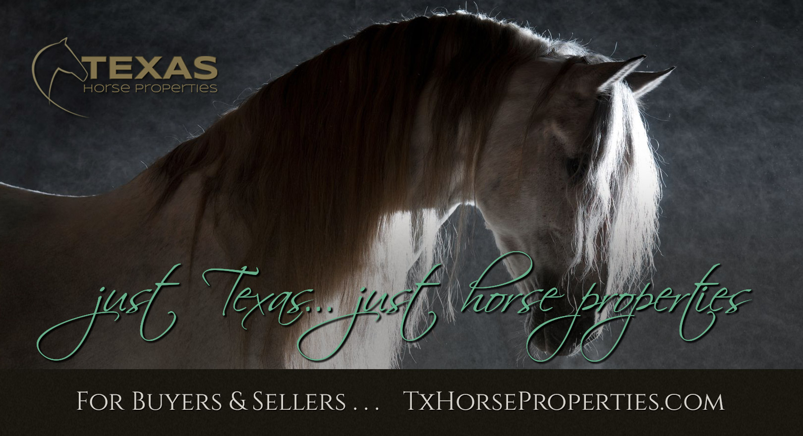 Texas Horse Properties