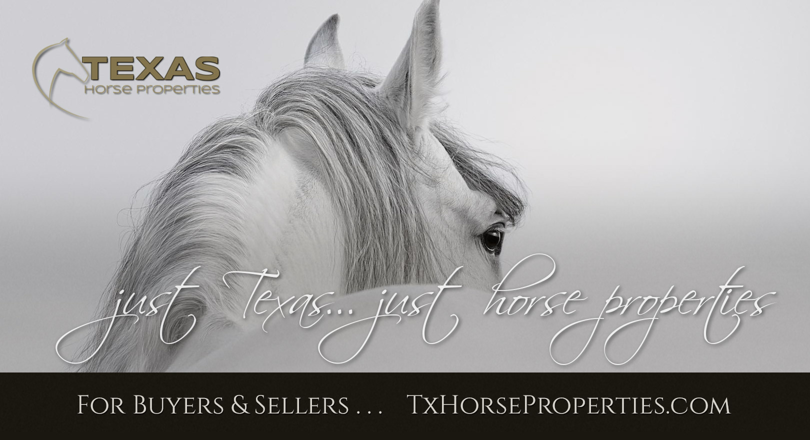 Texas Horse Properties