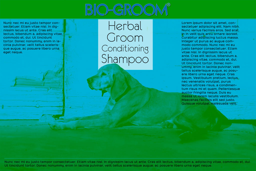 BioGroom Pet Shampoo